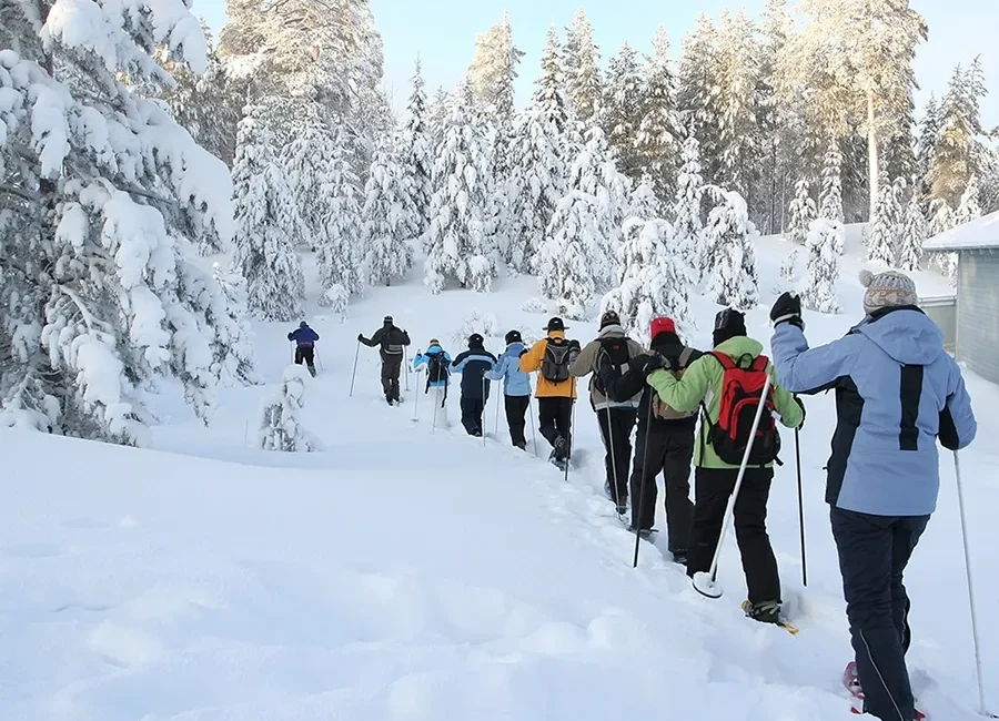 Tahoe Adventure Co Group Snowshoe