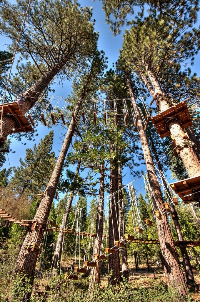 tahoe-treetop-adventure-park-go-tahoe-north