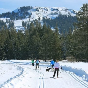 Royal Gorge Ski Map Nordic Ski Resorts And Areas - Go Tahoe North