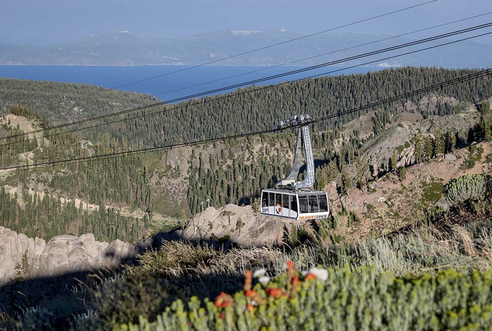 powerline trail tahoe