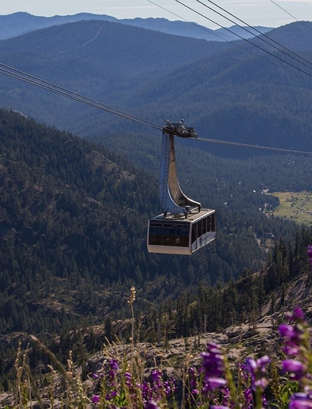 Lake Tahoe Towns