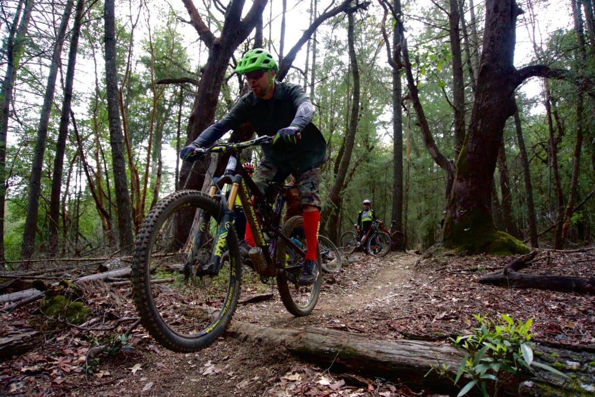 a singletrack mind