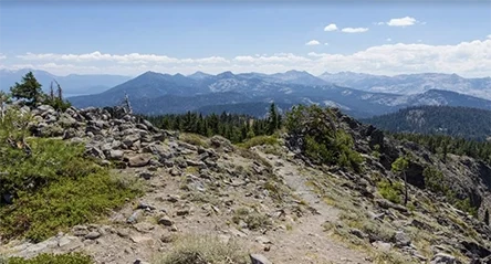 Ellis Peak Trail