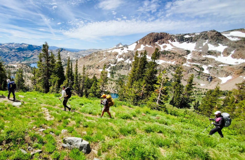 Tahoe Rim Trail Guided Hikes