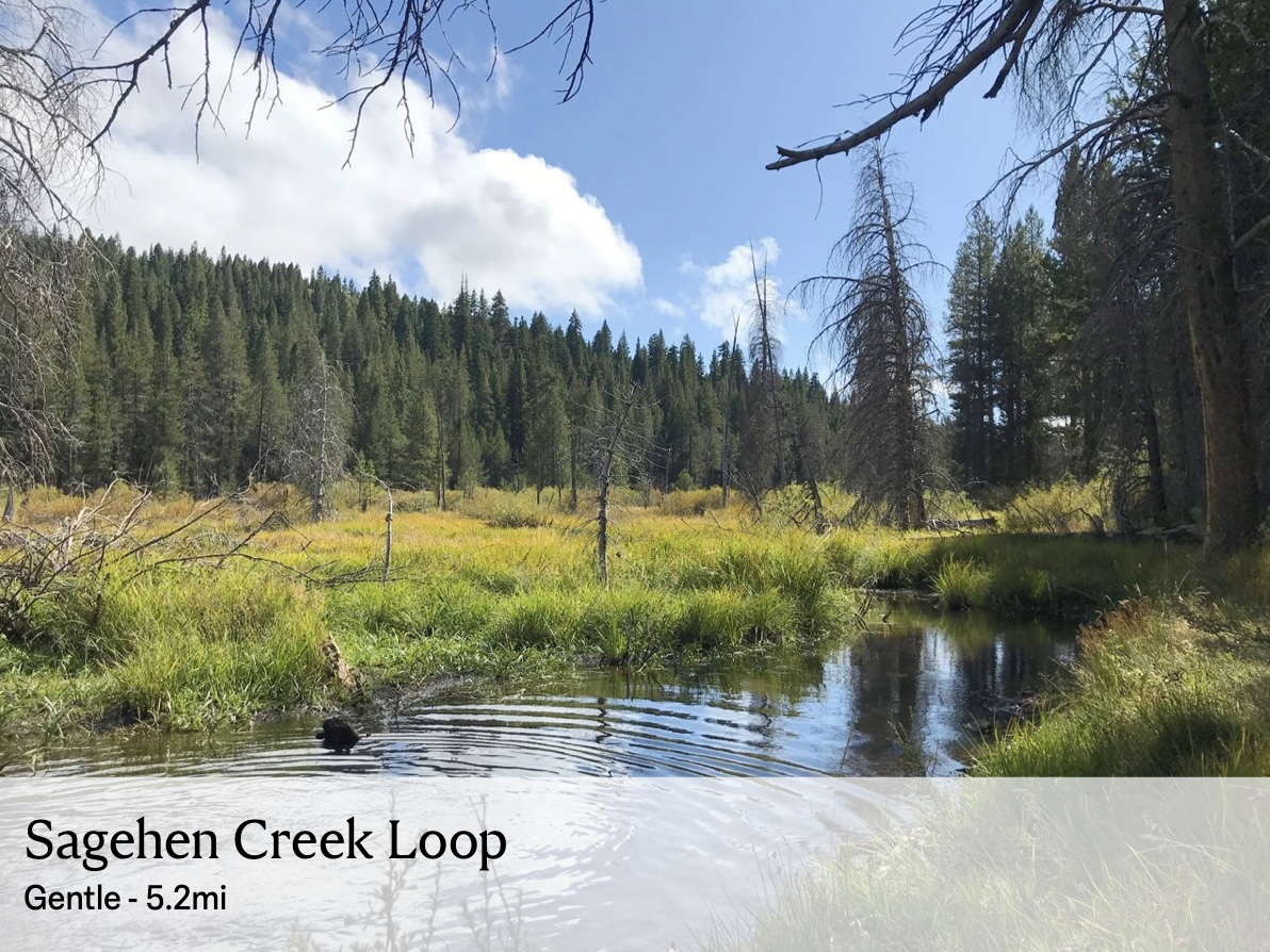 Saghen Creek Hike