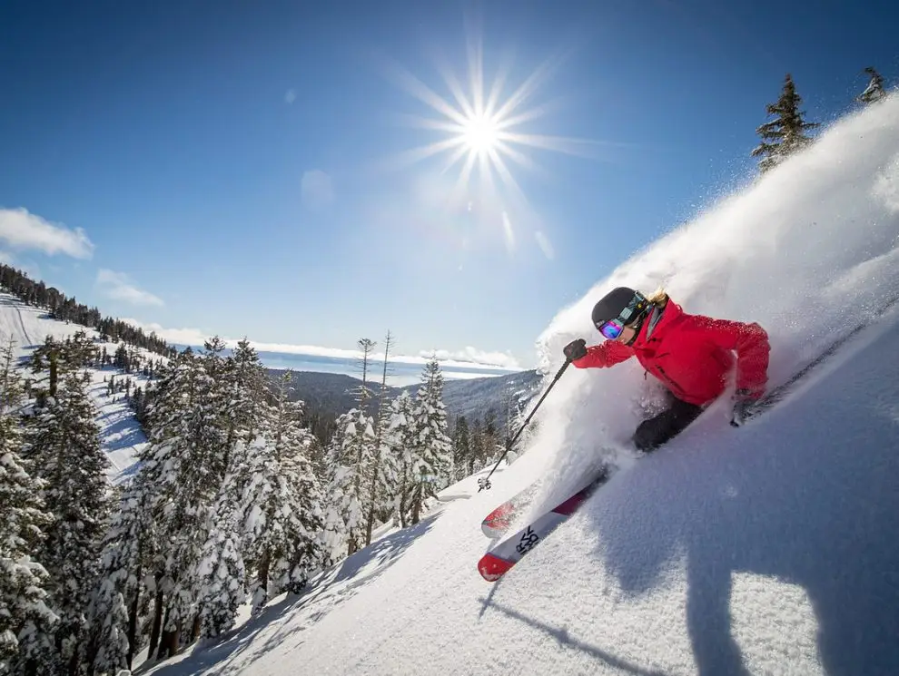 Alpine Meadows Pow