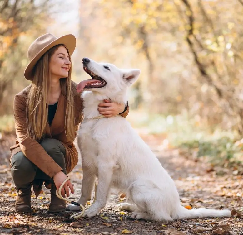 Lake Tahoe Dog Friendly Options